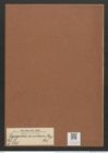 Plagiogramma staurophorum (Greg.) Heib. (de-Toni-Nr.: Genus 83, Species 2898) Zeichnungen Sammlung Grunow Mappe 03073 (Herbarium_W_Grunow_drawings_Folder_03073)